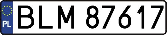 BLM87617