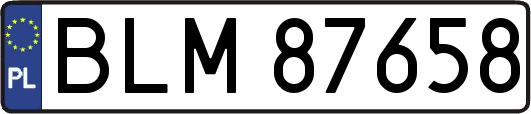 BLM87658