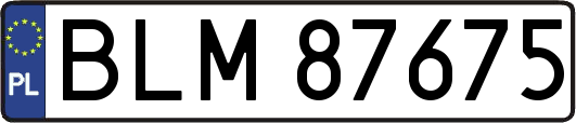 BLM87675