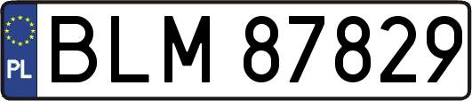 BLM87829
