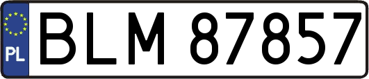 BLM87857