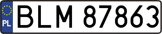 BLM87863