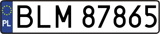 BLM87865