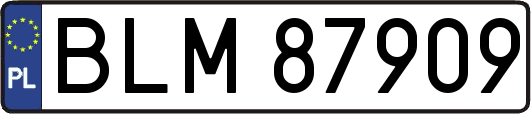 BLM87909