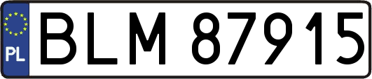 BLM87915