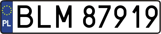 BLM87919