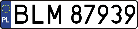 BLM87939