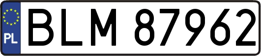 BLM87962