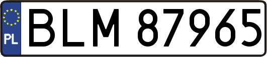 BLM87965
