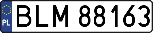 BLM88163