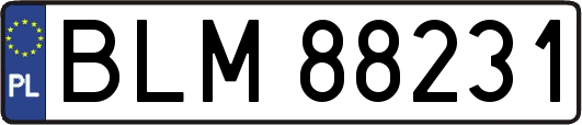 BLM88231