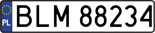 BLM88234
