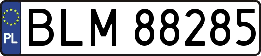 BLM88285