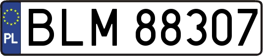 BLM88307
