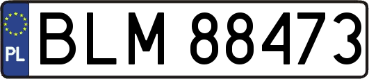 BLM88473
