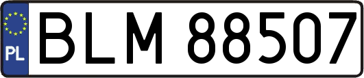 BLM88507