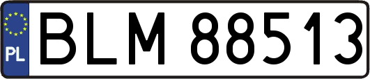 BLM88513