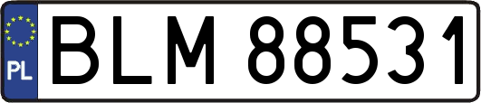 BLM88531