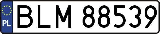 BLM88539