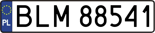 BLM88541