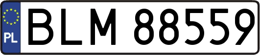 BLM88559