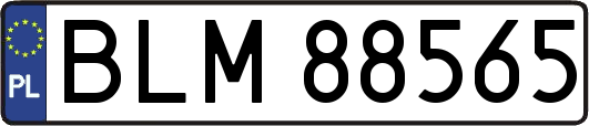 BLM88565