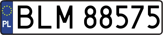 BLM88575