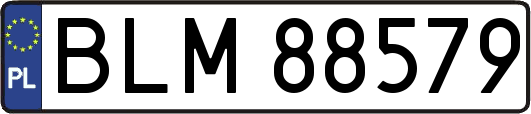 BLM88579