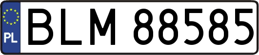 BLM88585