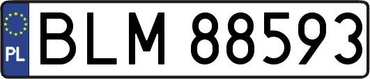 BLM88593