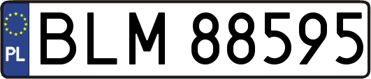BLM88595
