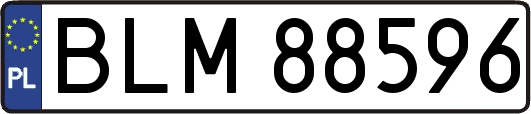 BLM88596