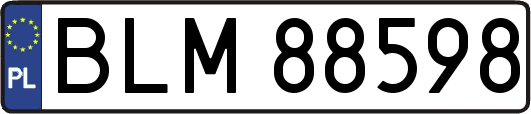 BLM88598