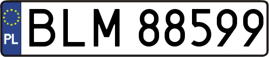 BLM88599