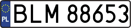 BLM88653