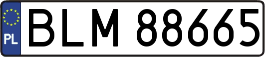 BLM88665