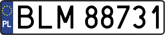 BLM88731
