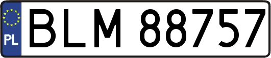 BLM88757