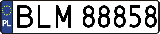 BLM88858