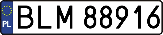 BLM88916