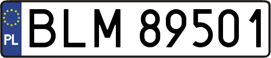 BLM89501