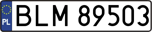 BLM89503