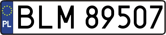 BLM89507