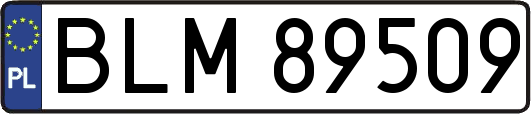 BLM89509