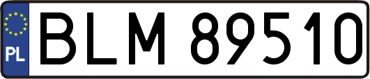 BLM89510
