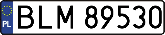 BLM89530