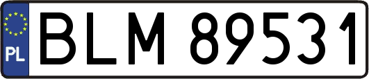 BLM89531