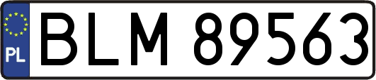 BLM89563