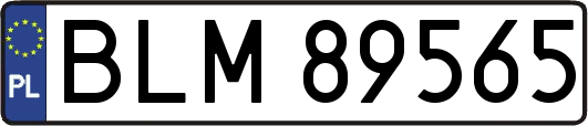 BLM89565