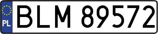 BLM89572
